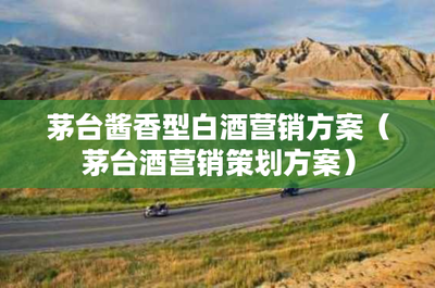 茅臺(tái)醬香型白酒營(yíng)銷方案